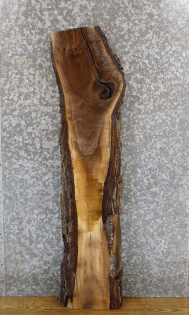 Natural Edge Black Walnut Rustic Side/Sofa Table Top Slab 1196